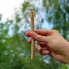 Miswak SPA VIVENT – naturalna szczoteczka z korzenia drzewa arakowego