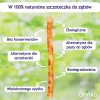 Miswak Orinko – naturalna szczoteczka do zębów z etui