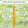 Miswak Orinko – zestaw 5 naturalnych szczoteczek do zębów