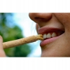 Miswak SPA VIVENT – naturalna szczoteczka z korzenia drzewa arakowego
