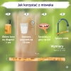 Miswak Orinko – zestaw 5 naturalnych szczoteczek do zębów