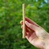 Miswak SPA VIVENT – naturalna szczoteczka z korzenia drzewa arakowego