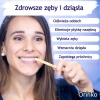 Miswak – zestaw 6 naturalnych szczoteczek do zębów