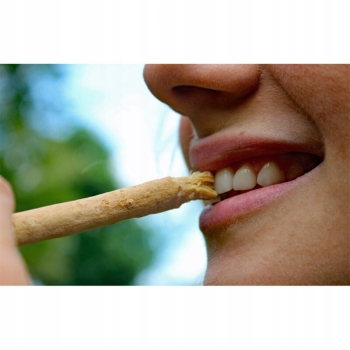 Miswak SPA VIVENT – naturalna szczoteczka z korzenia drzewa arakowego