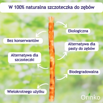 Miswak Orinko – naturalna szczoteczka do zębów