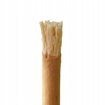 Miswak – zestaw 6 naturalnych szczoteczek do zębów