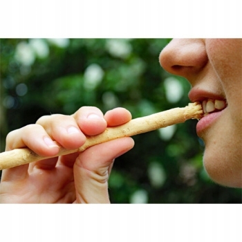 Miswak SPA VIVENT – naturalna szczoteczka z korzenia drzewa arakowego