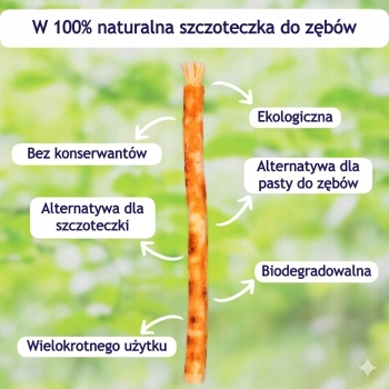 Miswak – zestaw 6 naturalnych szczoteczek do zębów