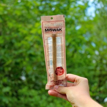 Miswak SPA VIVENT – naturalna szczoteczka z korzenia drzewa arakowego